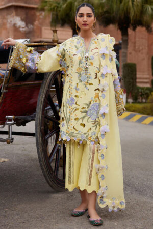 Elan Lawn