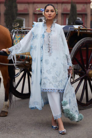 Elan Lawn