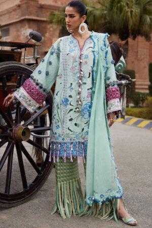 Elan Lawn