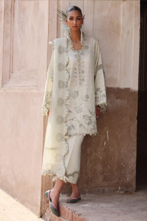 Elan Lawn