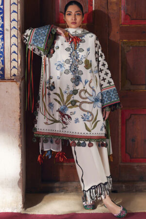 Elan Lawn