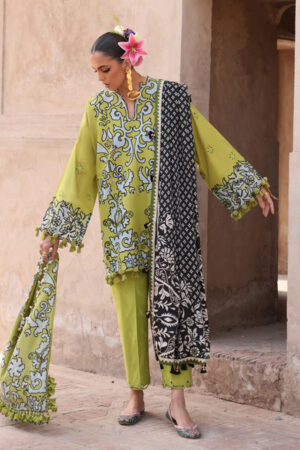 Elan Lawn