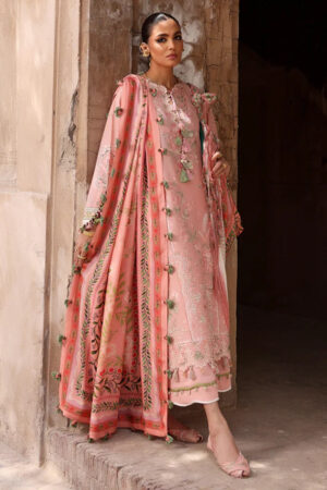 Elan Lawn