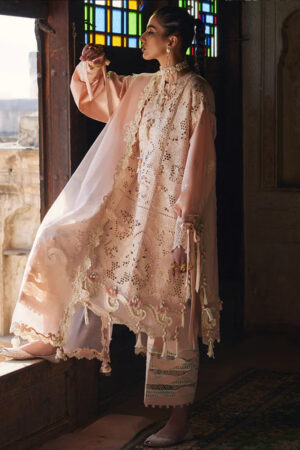 Elan Lawn