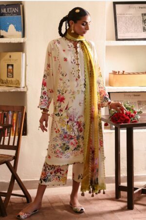 Chandni 10