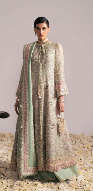 Freeshia By Suffuse - Mehtab