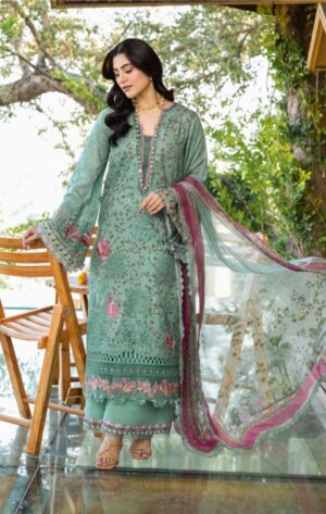 Elaf nayab-4b