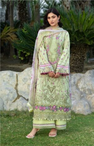 Elaf Hina-2a